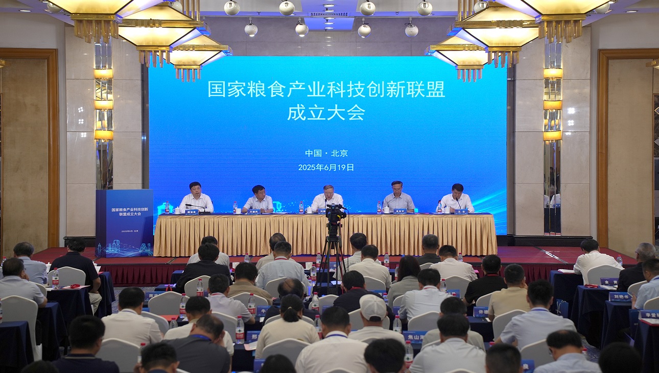 聯盟.jpg